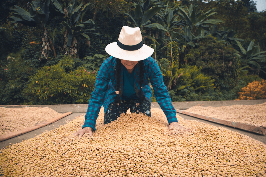 Sip Sip Hooray! Happy International Coffee Day - The Coffee Connection